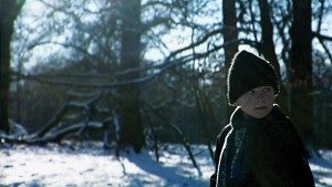 alberts_winter